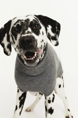 Pull pour chien en maille fine - Gris chiné