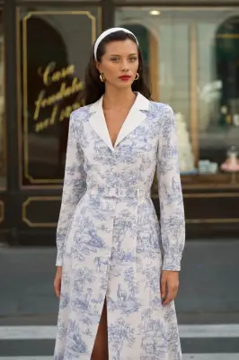 Catalina Toile De Jouy Dress