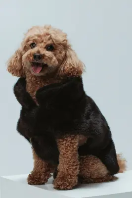 Manteau duveteux pour chien - Marron foncé