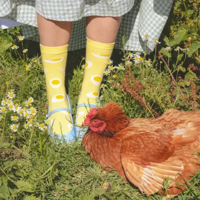 Chaussettes Oeuf Coucou Suzette