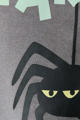 Sweat imprimé avec intérieur brossé - Gris/araignée