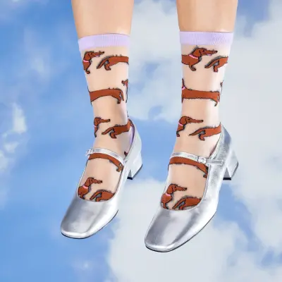 Chaussettes transparentes Teckel Coucou Suzette