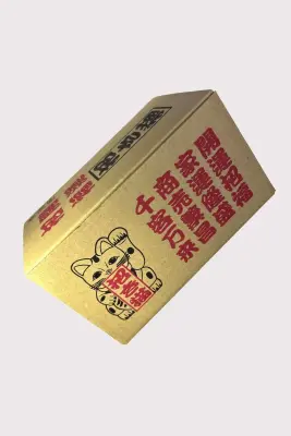 Maneki neko noir Tokonameyaki