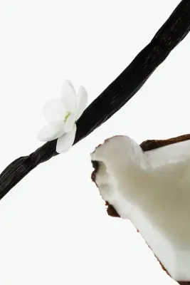 Coconut Escape body butter - Coconut Escape
