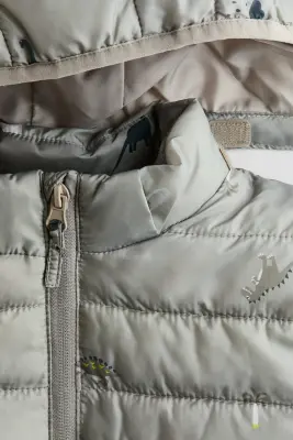 Veste déperlante matelassée - Vert clair/dinosaures