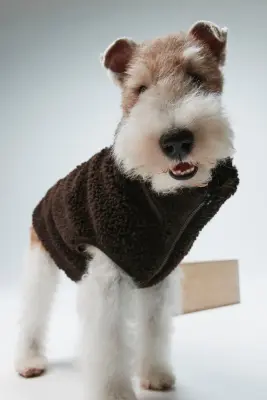 Veste pour chien en tissu Teddy bear - Marron foncé