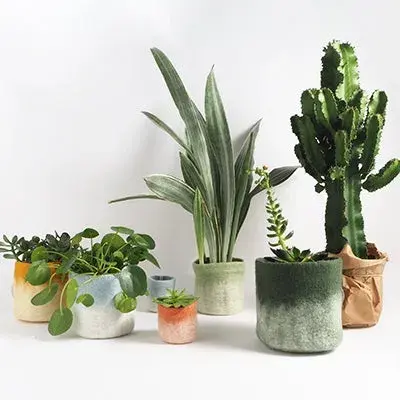 Cache pot S en laine bouillie