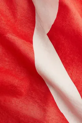 Jupe corolle en coton - Rouge/motif