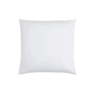 Intérieur de coussin plume 50x50