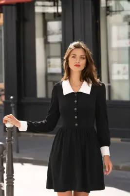 Ginny Collared Dress