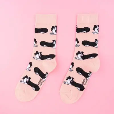 Chaussettes Border Collie Coucou Suzette