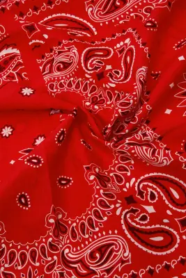 Coupon 3m en coton bandana