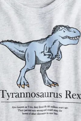 T-shirt en coton avec motif - Gris clair chiné/dinosaure