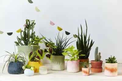 Cache pot M en laine bouillie (au choix)