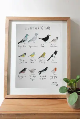 Affiche A5 Oiseaux de Paris