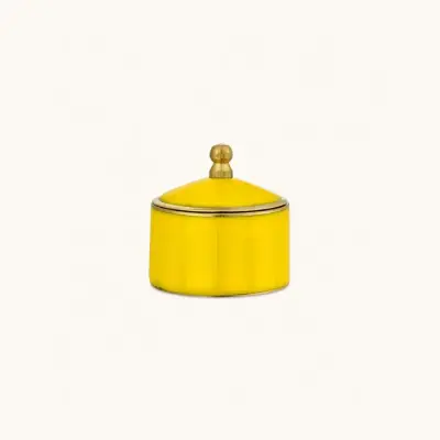 Boite Bailey Jaune