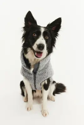 Veste pour chien en tissu Teddy bear - Gris clair