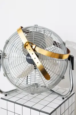 Ceinture en cuir métallisé