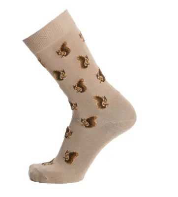 Chaussettes écureuils coton écru homme