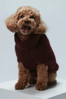 Pull pour chien en maille duveteuse - Bordeaux