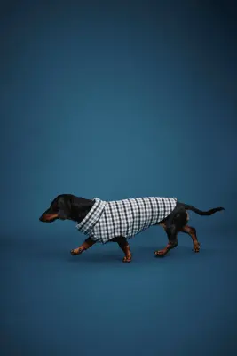 Sweat polaire pour chien - Blanc/vichy